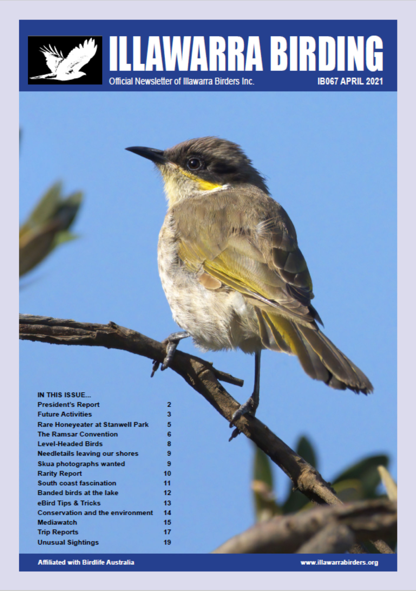 Photograph of Illawarra Birding front page
