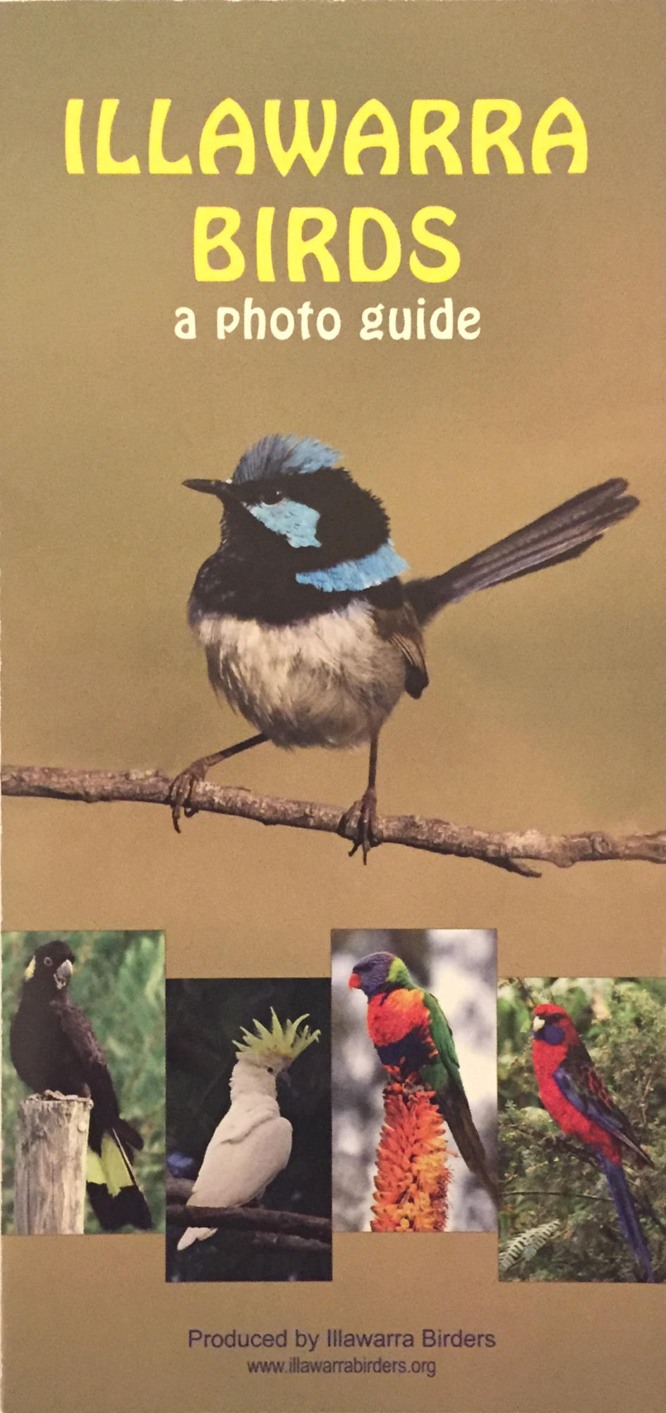 Photograph of Illawarra Birders brochure front page