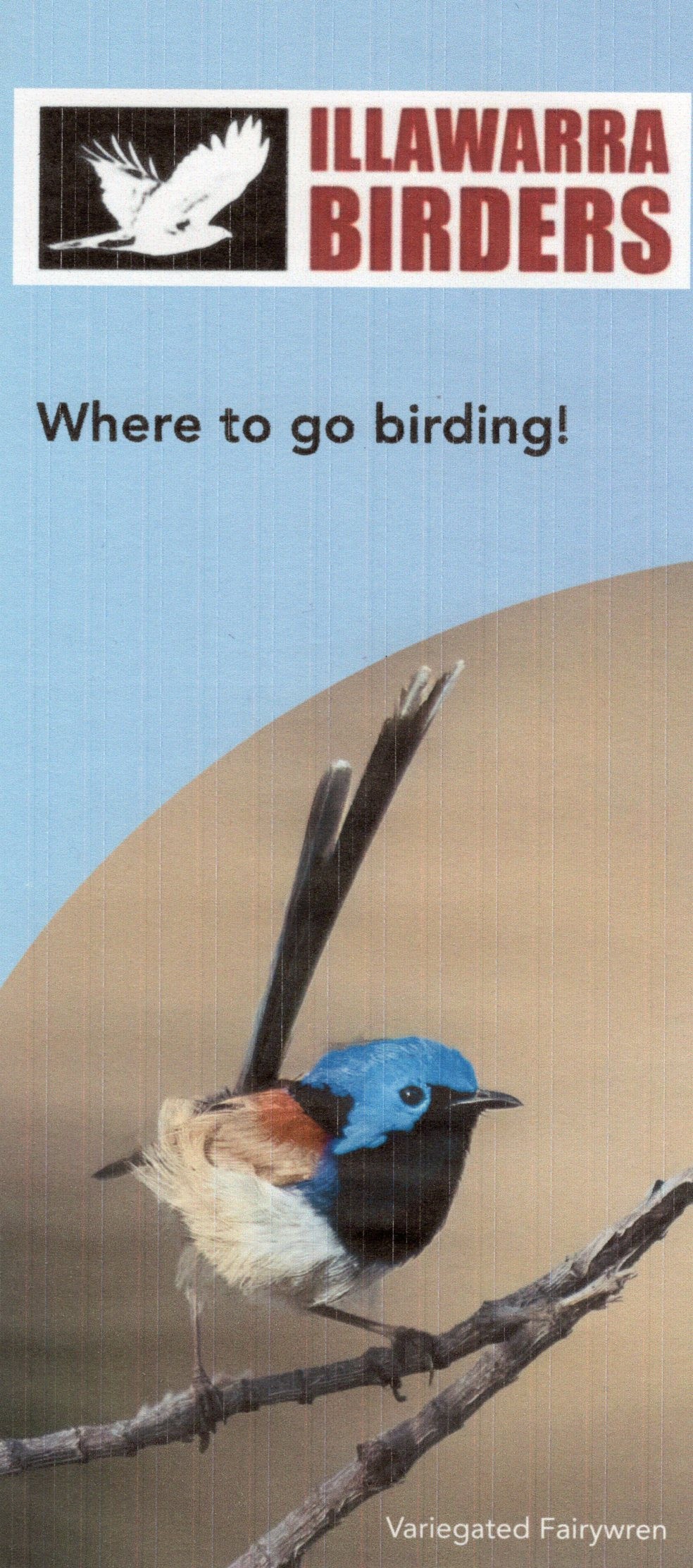 Where to go Birding front page